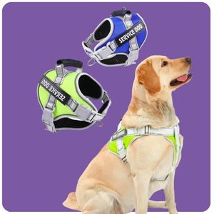 Dog Harnesses, Pet Travel Products