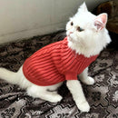 Winter Sweater For Dogs and Cats
