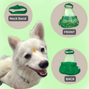 Lehenga Choli with Dupatta Indian Outfit for Female Pets