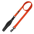 Nylon Leash For Dog