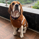 Winter Sweater For Dogs and Cats ( Light Brown )