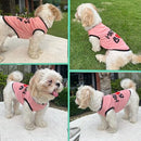 Summer T-Shirt For Pets