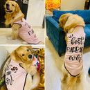Summer T-shirt For Pets