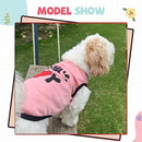 Summer T-Shirt For Pets