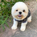 Winter Sweater For Dogs and Cats