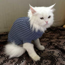 Winter Sweater For Dogs and Cats