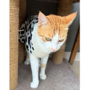 Winter Sweater For Dogs and Cats