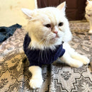 Winter Sweater For Dogs and Cats ( Dark Blue )