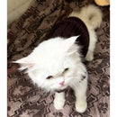 Winter Sweater For Dogs and Cats