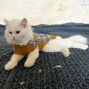 Winter Sweater For Dogs and Cats