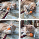 Interactive Feather Ball Toy with Bell for Cats (Pack of 3)