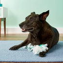 Cotton Dog Rope Toy for Tug of War
