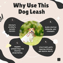 Nylon Leash For Dog