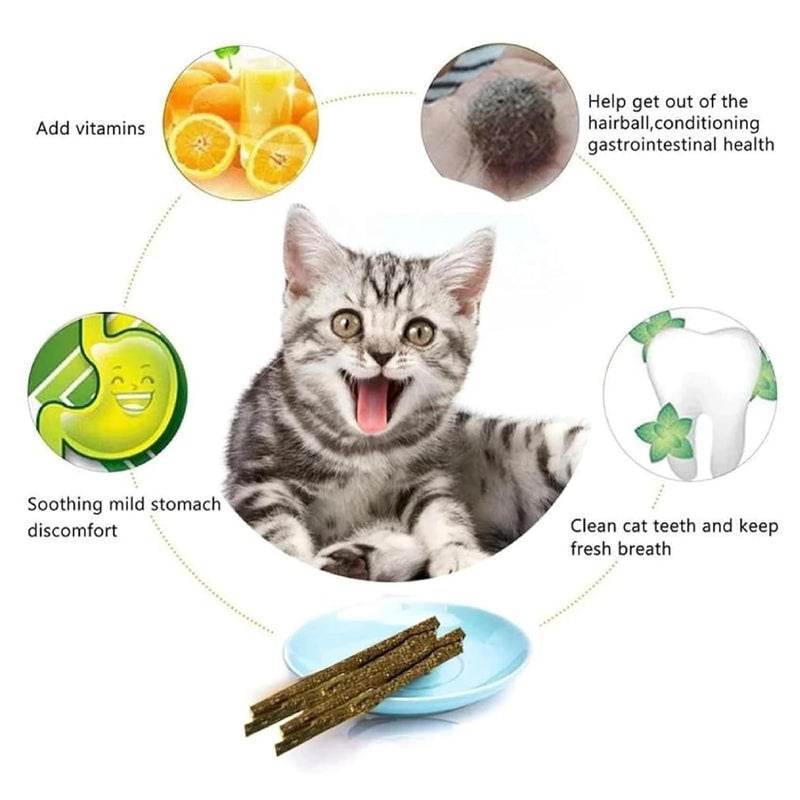 Natural Catnip Stick: Fun and Healthy Chew Toy for Cats