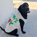 Summer T-shirt For Pets
