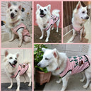 Summer T-shirt For Pets