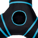 Tunnel Tube Toy For Cats