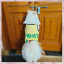 Summer T-shirt For Pets