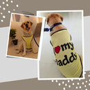 Summer T-shirt For Pets