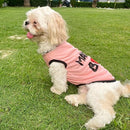 Summer T-Shirt For Pets
