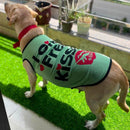 Summer T-shirt For Pets