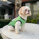 Summer T-shirt For Pets