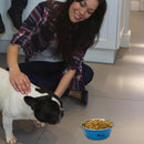 Anti Slip Stainless Steel Bowls For Pets