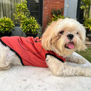 Summer T-shirt For Pets