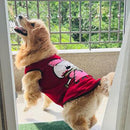Summer T-shirt For Pets