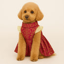 Ethnic Golden Dress with Ruffled Sleeves For Female Dogs