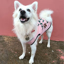 Summer T-shirt For Pets