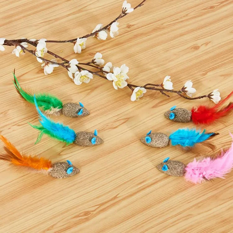 Catnip Toy For Cats