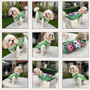 Summer T-shirt For Pets