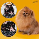 Summer Frock For Dog & Cat