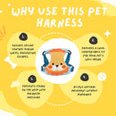 Adjustable Dog & Cat Harness - Comfy Walking & Training Vest Harness