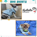 Summer T-shirt For Pets