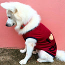 Summer T-shirt For Pets