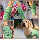 Summer T-shirt For Pets