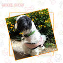 Summer T-shirt For Pets