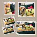 Summer T-shirt For Pets
