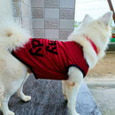 Summer T-shirt For Pets