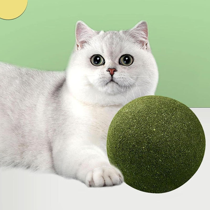 Catnip Toy for Cats