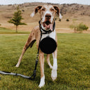 Collapsible Travel Bowl  for Dog-Cat