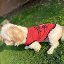 Summer T-shirt For Pets