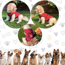 Summer T-shirt For Pets