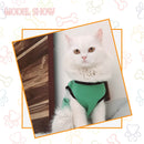 Summer T-shirt For Pets