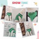 Summer T-shirt For Pets