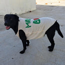 Summer T-shirt For Pets