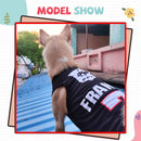 Summer T-shirt For Pets