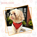 Summer T-shirt For Pets